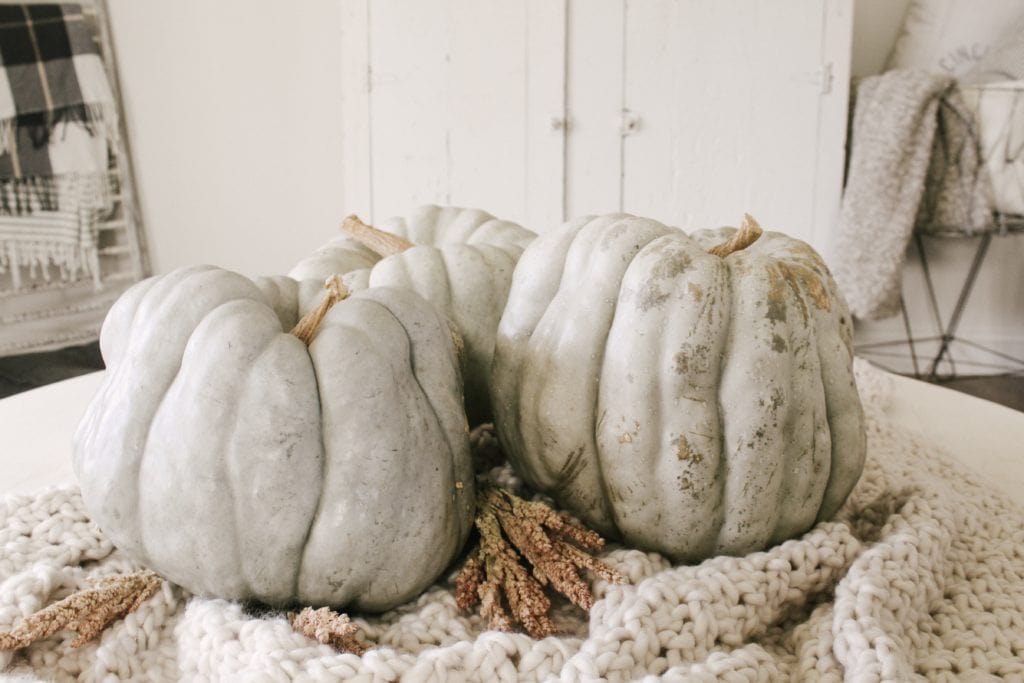 heirloom pumpkin centerpiece on chunky knit blanket
