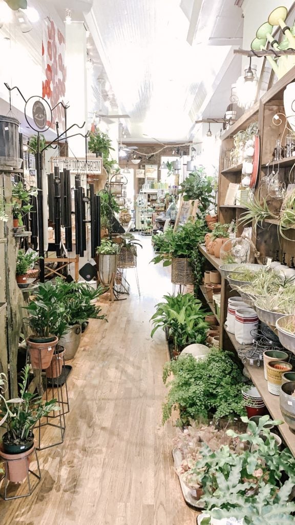 plant shop in franklin tn