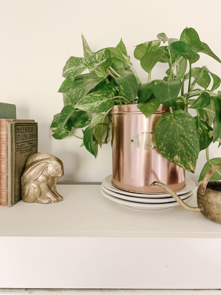 antique canister used as planter in home decor