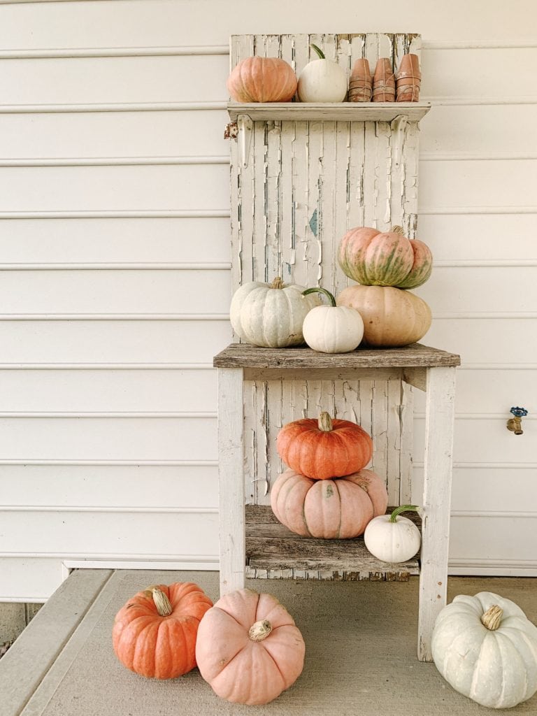 pumpkins arranged on chippy white reclaimed potting bench