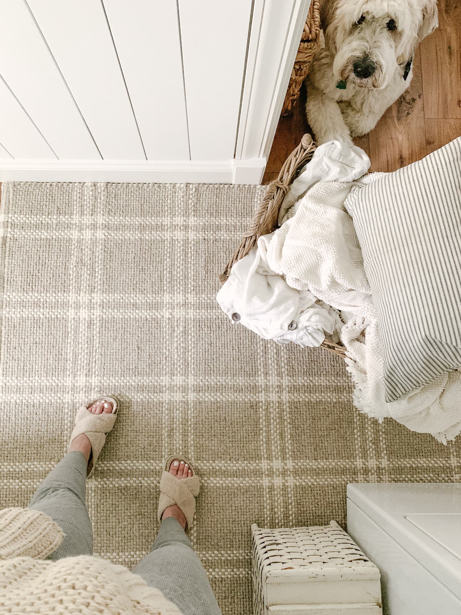 neutral plaid rug