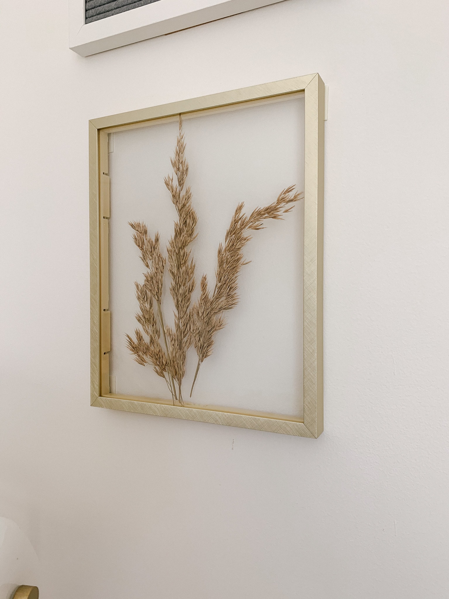 Oat Wheat in Brass Floating Picture Frame